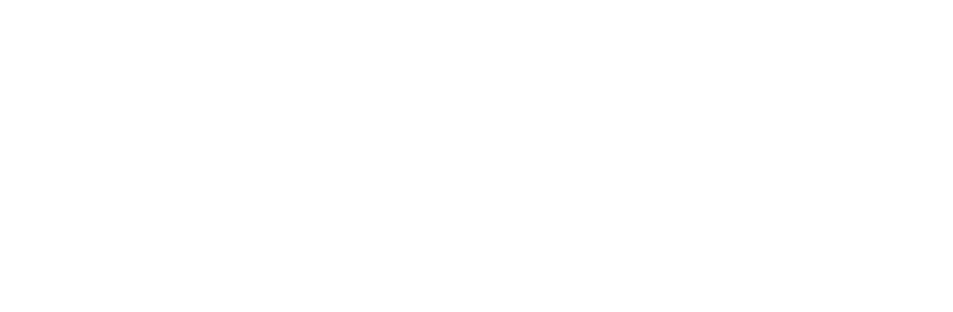 FMS Cars Footer Logo